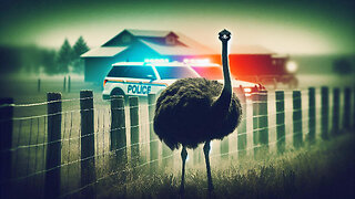 Why the BC Ostrich Farm Events Are More Important Than You Think