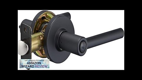 Amazon Basics Contemporary Madison Door Lever Privacy Matte BlackPack Review