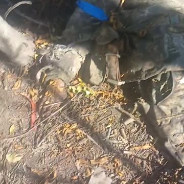 Ukriane war combat footage 10/1/25