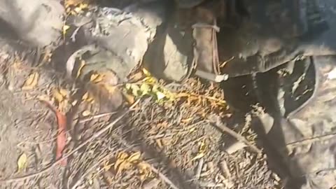 Ukriane war combat footage 10/1/25