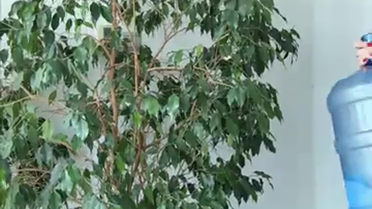 Trade Smart with the Forex Trading App Trusted by Millions