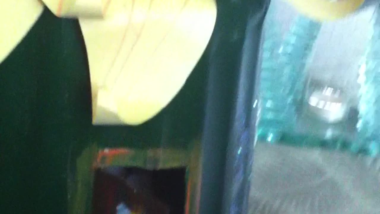 Kira and Tinkerbell House - 8-23-2012