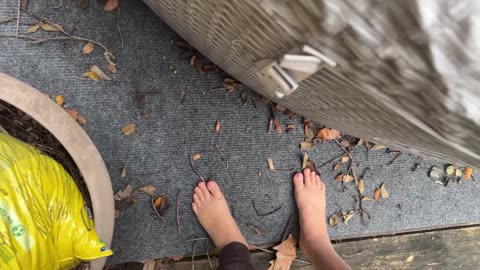 12/04/25 Gymnik VOD: "Gymnik 🌞 is live!"