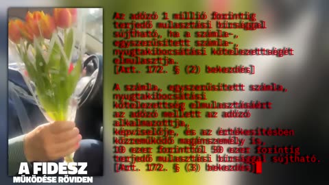 "KICSI"ben a fidesz működése