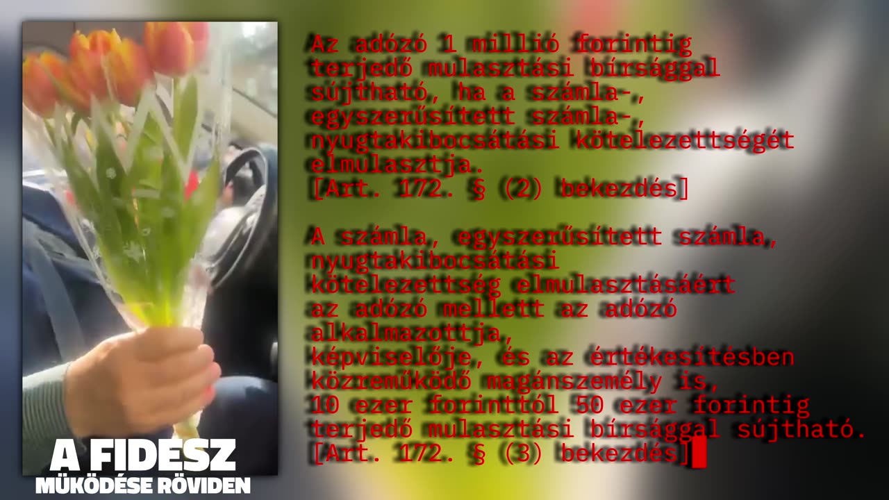 "KICSI"ben a fidesz működése