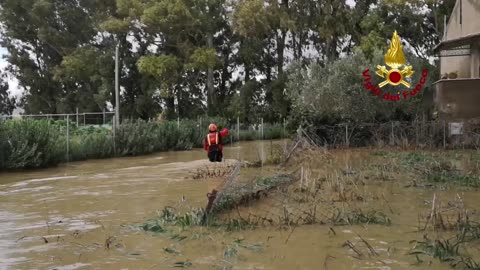 TARQUINIA (VT) - VIGILI DEL FUOCO IN AZIONE (14.02.25)