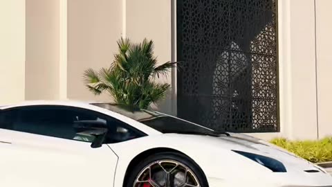 💨🤯 Feel the Thrill of Dubai's Fastest Luxury Cars! | LuxurySportsCars