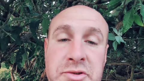 3 Great Affiliate Programs to Look At