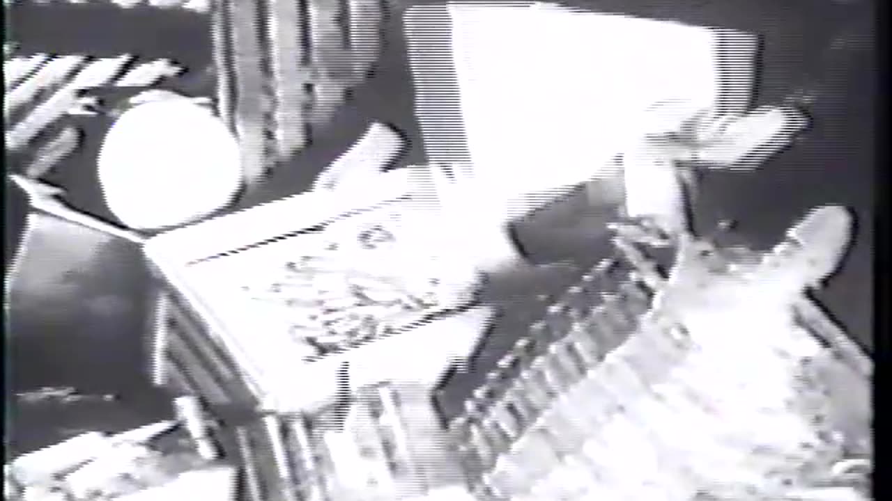 D89. Die Grauen Wolfe3