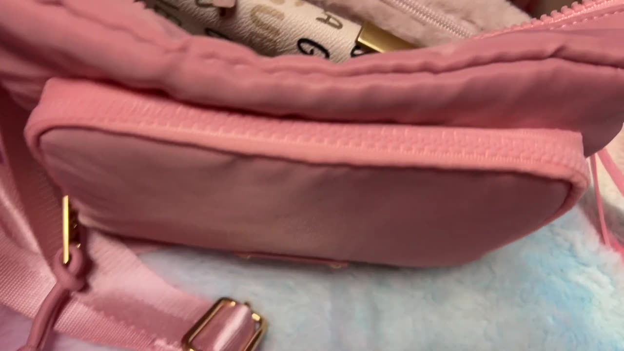 What's in my Bear Paw Pink Bag and Pastel Wallet.