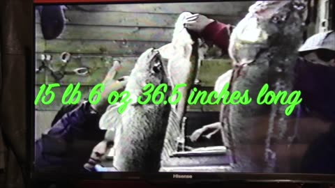 A SCARY RIVER CROSSING