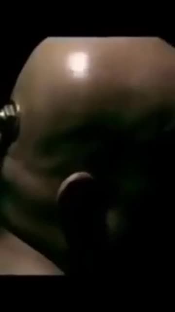 Ｈａｐｐｙ Ｄａｙｚ