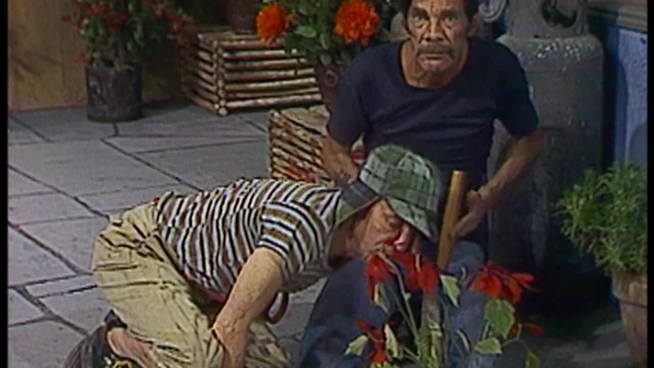 CHAVES T6 EP06
