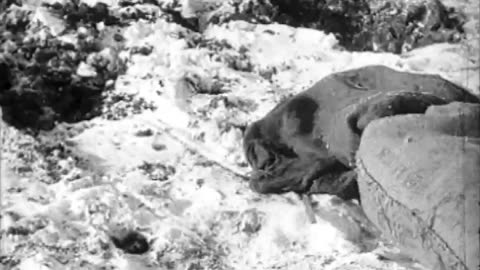 [TRACTOR DEMONSTRATION] - [TRACTOR DEMONSTRATION] - fc-fc-4141