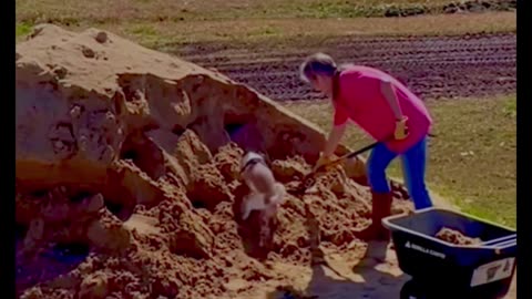 Our single wide mobile home installation 2024, a montage of short video clips.