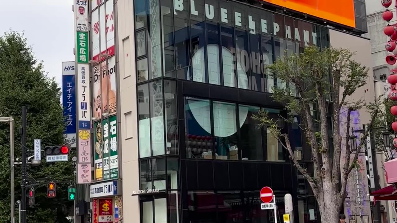 🧠✨ Incredible 3D Cat Illusion in Tokyo! | FeedMyCuriosity