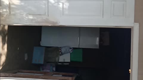 Clean up Vid 2
