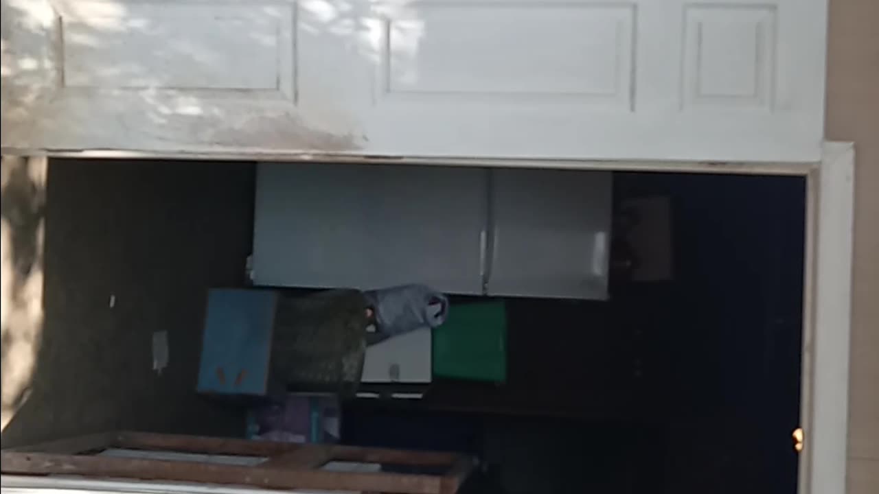 Clean up Vid 2