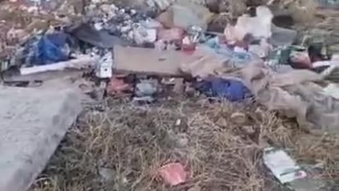 Pine Acres decade long outcry for waste management and collection services