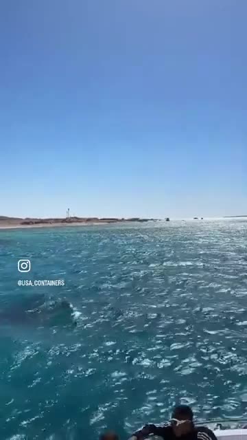 2023 Company Retreat | Egypt | USA Containers