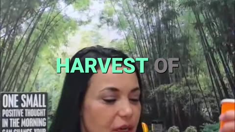 Harvesting the Heart: Reflecting on This Year's Journey