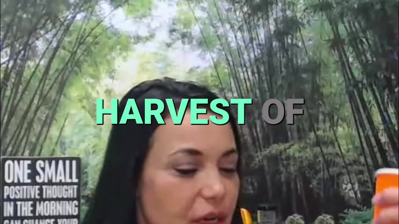 Harvesting the Heart: Reflecting on This Year's Journey