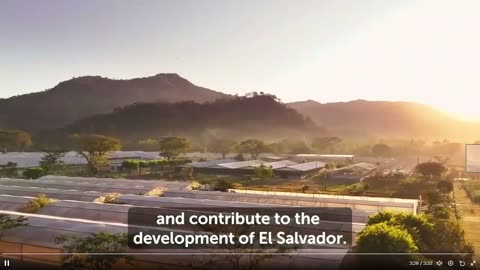 Tổng thống El Salvador công bố một video cho thấy hàng ngàn tù nhân của họ đã trở thành công nhân.