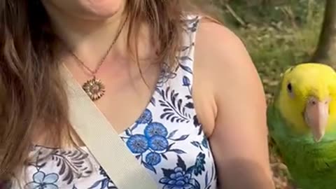 October Dog Shorts Compilation 2025