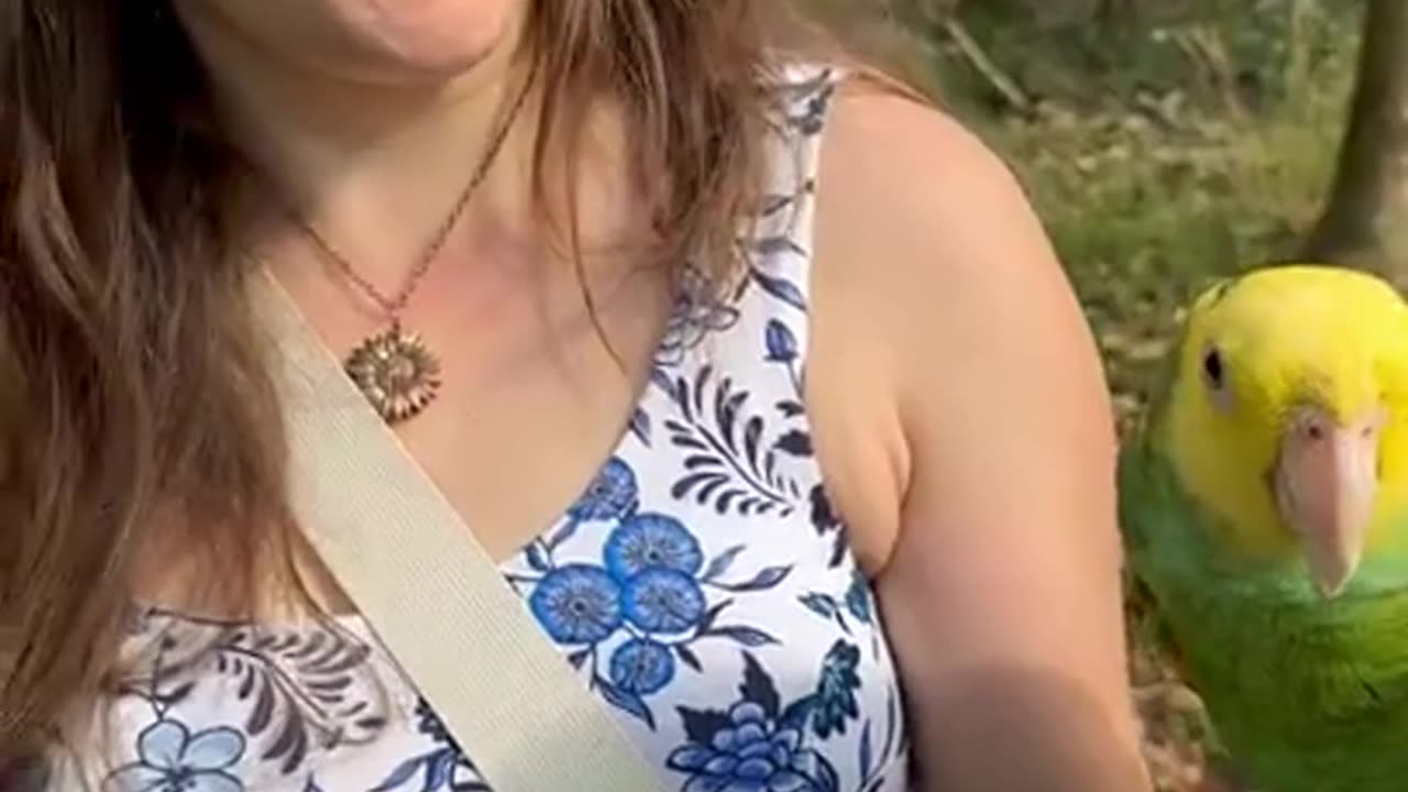 October Dog Shorts Compilation 2025