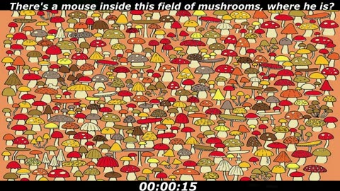 Mouse puzzle: There's a mouse inside this field of mushrooms, where he is?