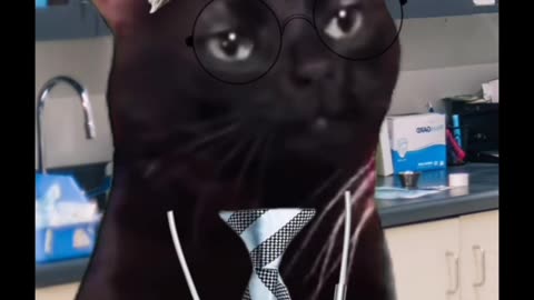 DR. Kit Cat Giving Time Sensitive results