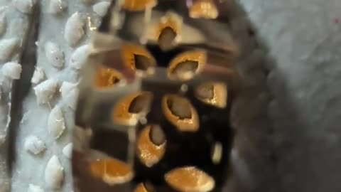 Polishing a Gold Pendant