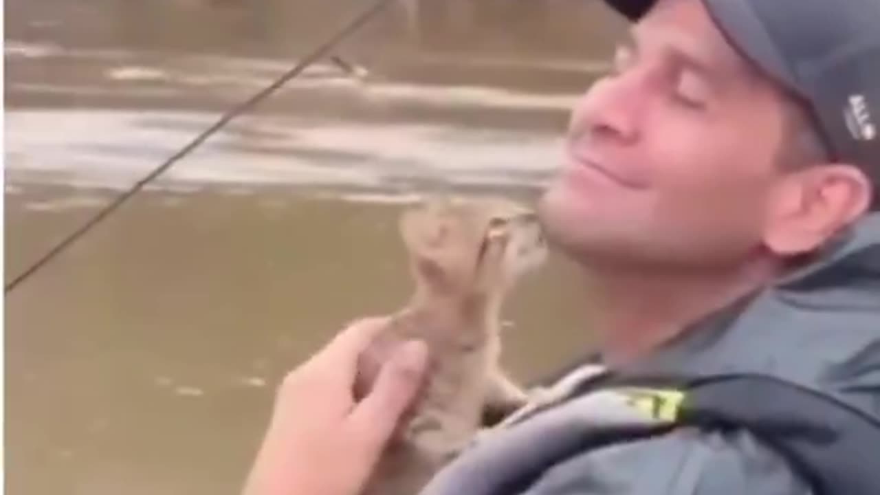 Kitten saved by rescue team after a flood, now won't leave their side 🥹❤️