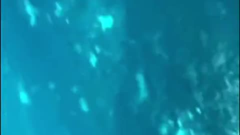 😱🌊 Man Drops iPhone into Ocean, Captures Chilling Audio! | TheHauntingHour