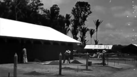 [RUBBER PLANTATION, BRAZIL] - [RUBBER PLANTATION, BRAZIL] - fc-fc-4871