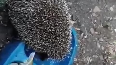 Respect for the body armour 🤣