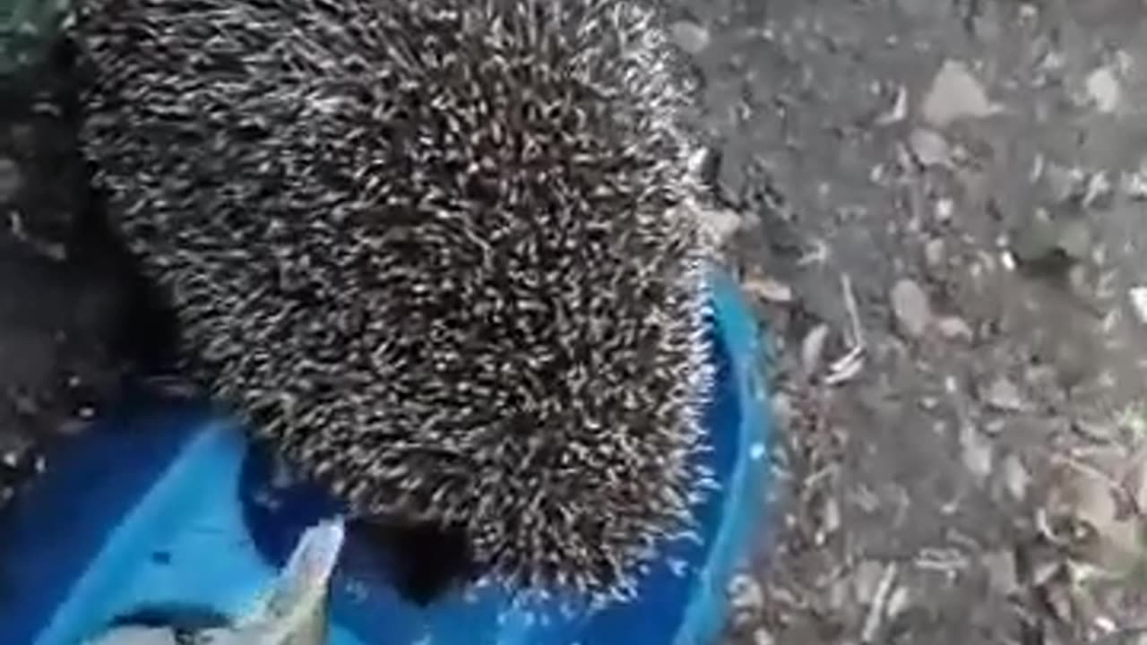 Respect for the body armour 🤣