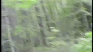 Watch Alex Jones Warn You About The New World Order Decades Ago in These Films