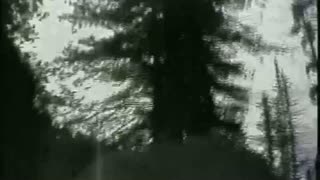 Watch Alex Jones Warn You About The New World Order Decades Ago in These Films