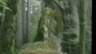 Watch Alex Jones Warn You About The New World Order Decades Ago in These Films