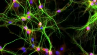 Watch Alex Jones Warn You About The New World Order Decades Ago in These Films