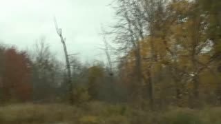 Watch Alex Jones Warn You About The New World Order Decades Ago in These Films