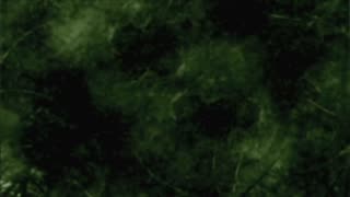 Watch Alex Jones Warn You About The New World Order Decades Ago in These Films