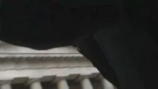 Watch Alex Jones Warn You About The New World Order Decades Ago in These Films