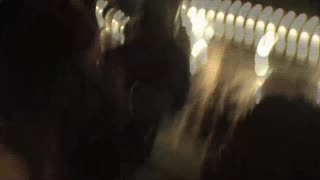 Watch Alex Jones Warn You About The New World Order Decades Ago in These Films