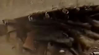 Watch Alex Jones Warn You About The New World Order Decades Ago in These Films