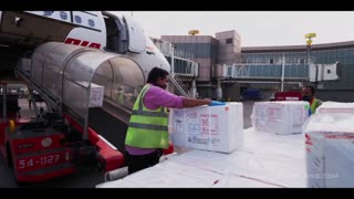 Watch Alex Jones Warn You About The New World Order Decades Ago in These Films