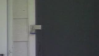 Watch Alex Jones Warn You About The New World Order Decades Ago in These Films