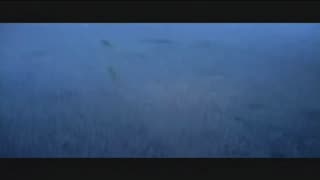 Watch Alex Jones Warn You About The New World Order Decades Ago in These Films