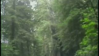 Watch Alex Jones Warn You About The New World Order Decades Ago in These Films